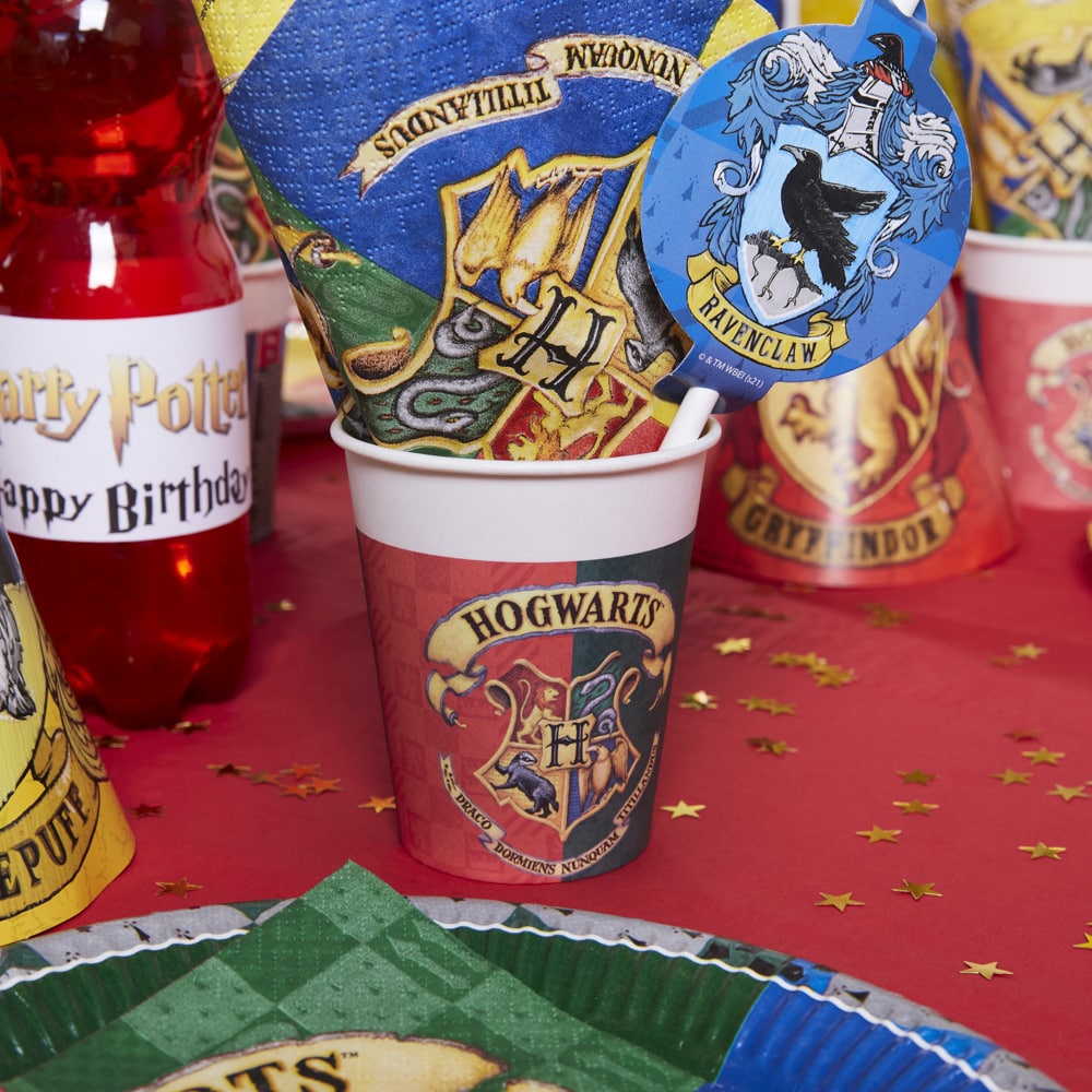 Harry Potter Børnefødselsdag/Temafest pynt