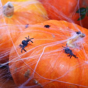 Halloween spindelvævs dug (plastik)