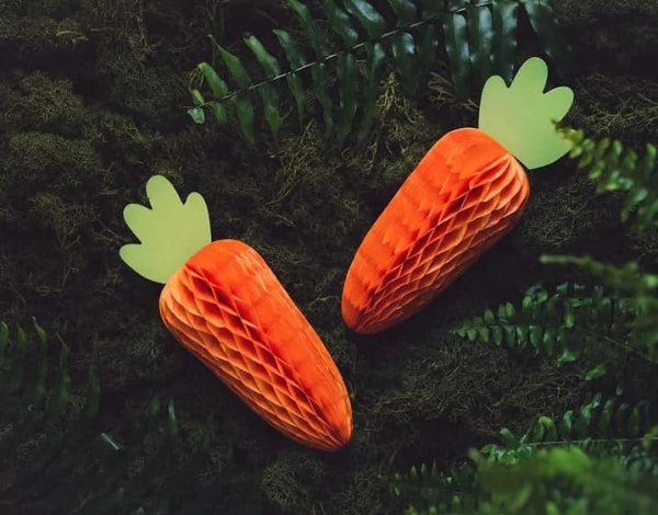 Orange honeycomb gulerod