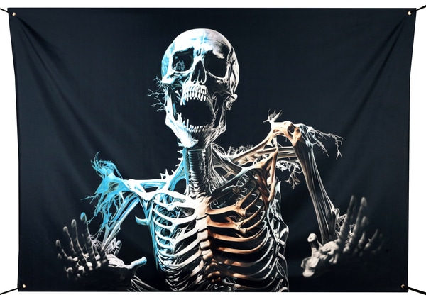 Hjemsøgt skelet banner (stor)