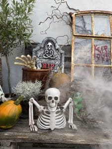 Hvid skelet overkrop Hvid skelet overkrop