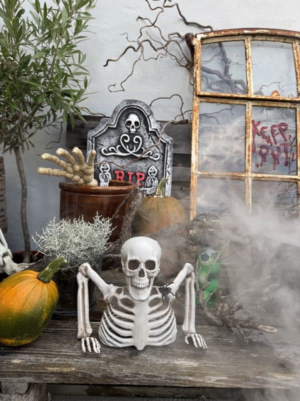 Hvid skelet overkrop Hvid skelet overkrop