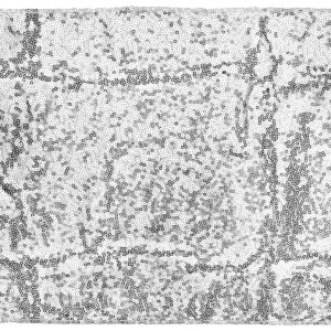 Sølv palliet bordløber