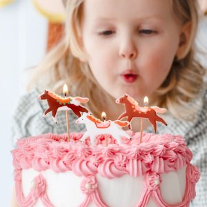 Cowboyhat brun Cowboyhat brun