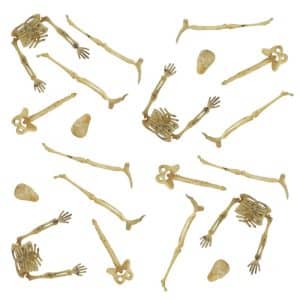Mini skelet dele