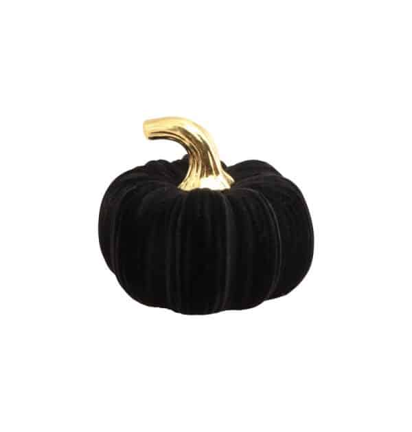 Sort græskar i fløjl (lille)