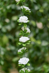 Kunstig blomster ranke m/hvide roser