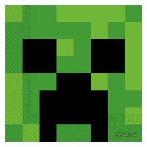 Minecraft® serviet Minecraft® serviet