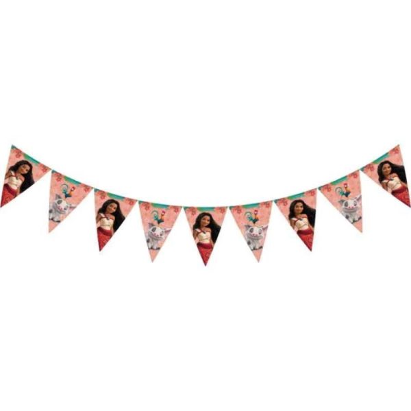 Vaiana® vimpel banner